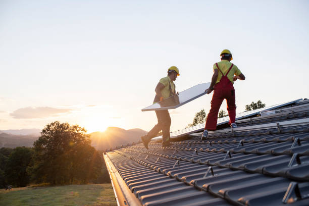 Best Skylight Installation and Repair  in Roseland, OH
