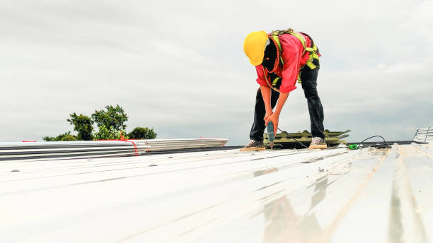 Best Chimney Flashing Repair  in Roseland, OH