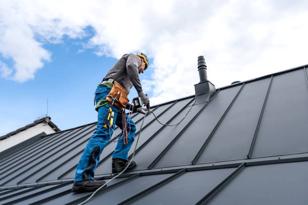 Best Rubber Roofing (EPDM, TPO)  in Roseland, OH