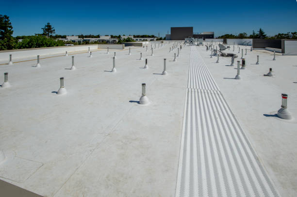 Best Roof Moss and Algae Removal  in Roseland, OH